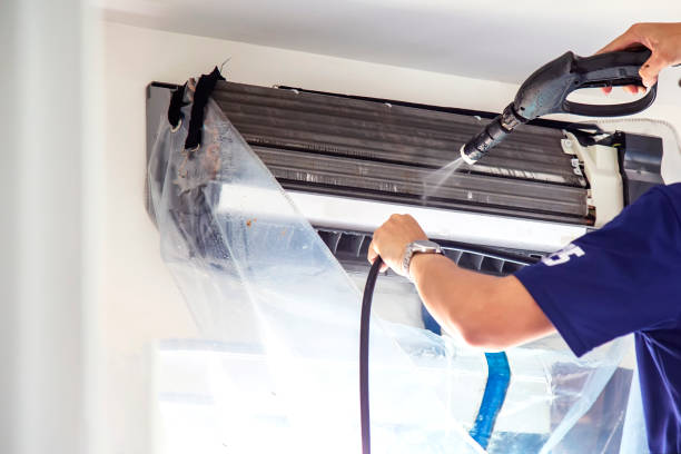 Best Air Duct Cleaning Company Near Me  in Citrus Park, AZ