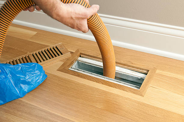 Best Local Air Duct Cleaning Services  in Citrus Park, AZ