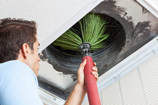 Best Affordable Duct Cleaning Services  in Citrus Park, AZ