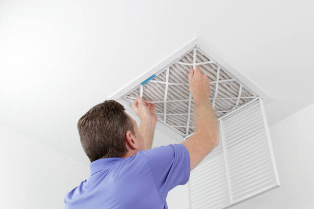 Best HVAC Maintenance and Cleaning  in Citrus Park, AZ